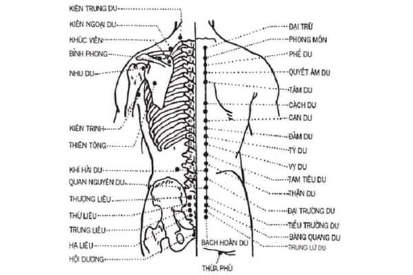 Cách massage bấm huyệt giảm đau ở lưng