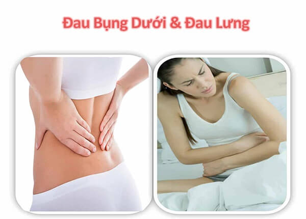 dau-bung-duoi-va-dau-lung-co-phai-mang-thai-3