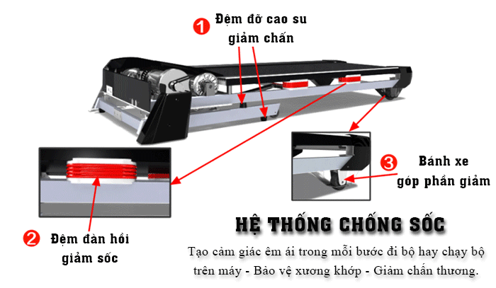 Đại Việt Sport cung cấp độc quyền máy chạy bộ điện Đại Việt Dv 555